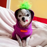 Entry image for Nuggies