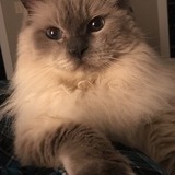 Entry image for Maxx