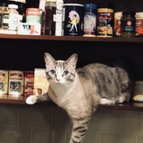 Entry image for Louis