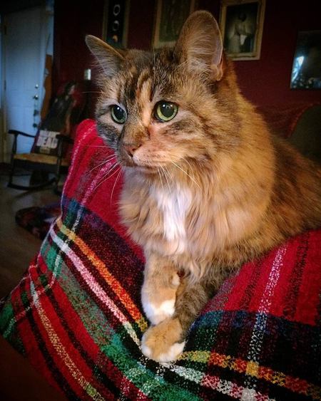 Entry image for Cory Piper. Clicking this image will show a larger photo