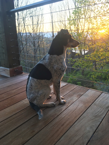 Entry image for Mike. Clicking this image will show a larger photo