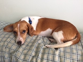 Entry image for Summer. Clicking this image will show a larger photo