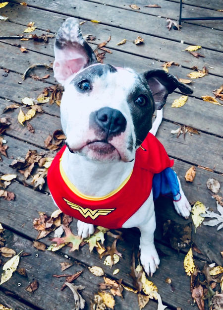 Entry image for BB. Clicking this image will show a larger photo