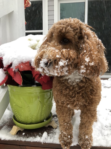 Entry image for Sydney. Clicking this image will show a larger photo