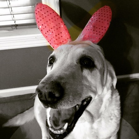 Entry image for Sam . Clicking this image will show a larger photo