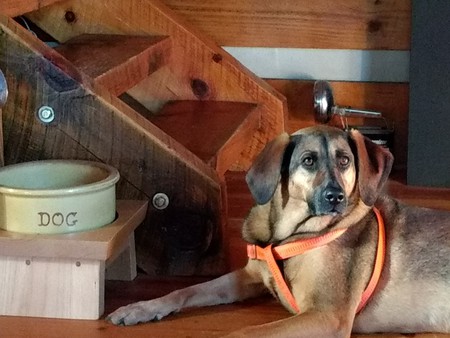 Entry image for Fiona (Princess Fiona). Clicking this image will show a larger photo