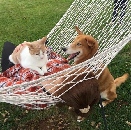 Entry image for Maple. Clicking this image will show a larger photo