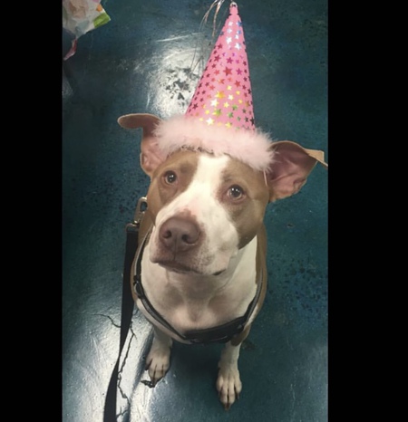 Entry image for Zoey. Clicking this image will show a larger photo