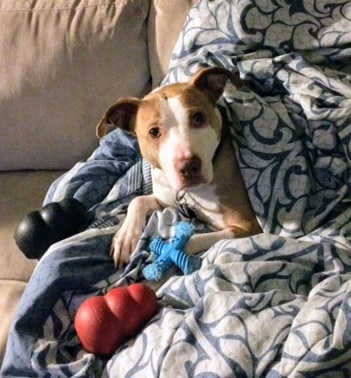 Entry image for Sheldon. Clicking this image will show a larger photo