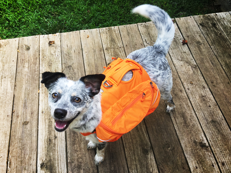 Entry image for Bryson. Clicking this image will show a larger photo