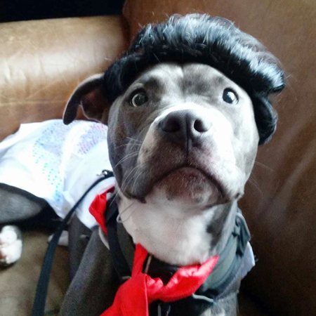 Entry image for Memphis. Clicking this image will show a larger photo