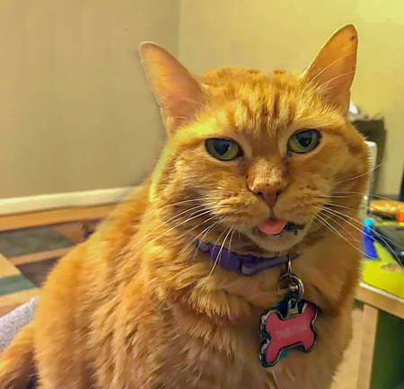 Entry image for Tabitha. Clicking this image will show a larger photo