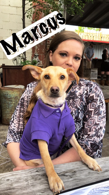 Entry image for Marcus. Clicking this image will show a larger photo