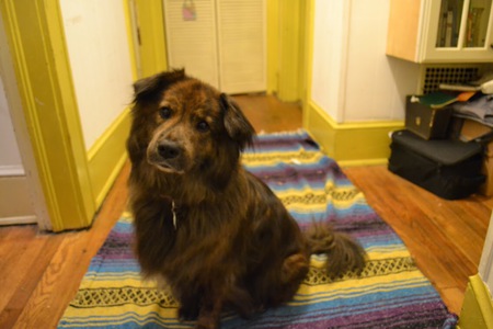 Entry image for Ruca. Clicking this image will show a larger photo