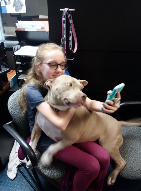 Entry image for ROSCOE. Clicking this image will show a larger photo