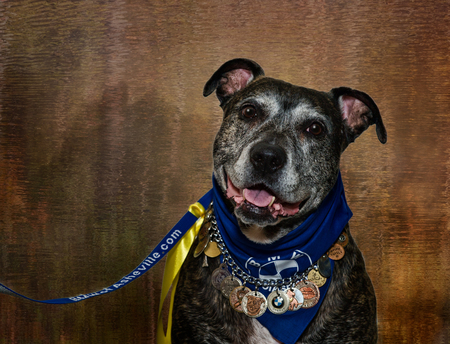 Entry image for BEEMER. Clicking this image will show a larger photo