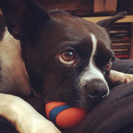 Entry image for Gretchen. Clicking this image will show a larger photo