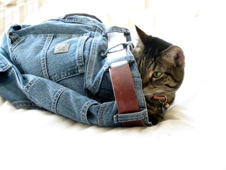 Entry image for Sissy. Clicking this image will show a larger photo