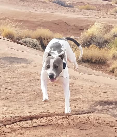 Entry image for Rayna . Clicking this image will show a larger photo