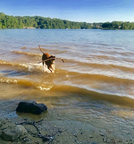 Entry image for Berkley. Clicking this image will show a larger photo