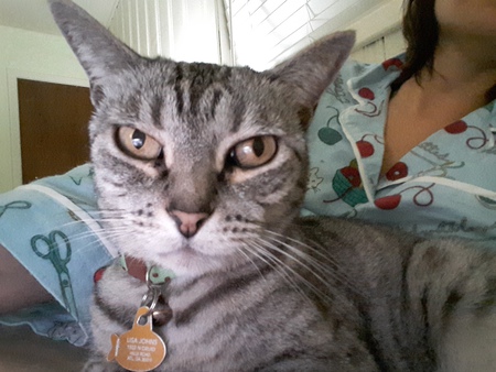 Entry image for Satani. Clicking this image will show a larger photo