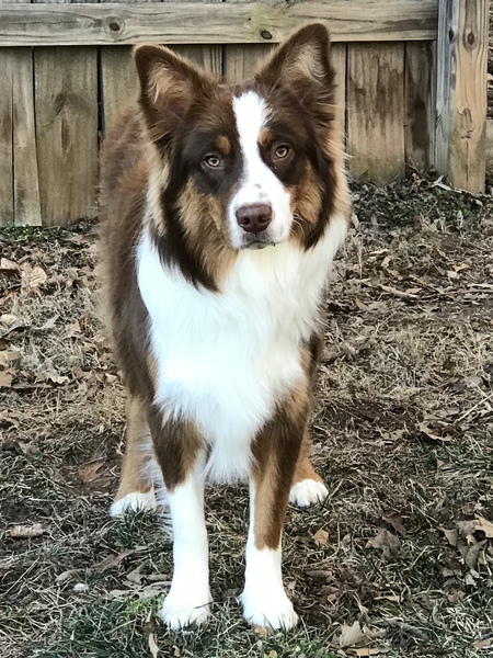 Entry image for Eden. Clicking this image will show a larger photo