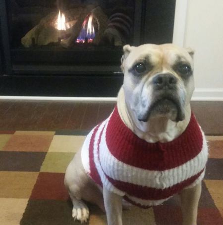 Entry image for Ruby. Clicking this image will show a larger photo