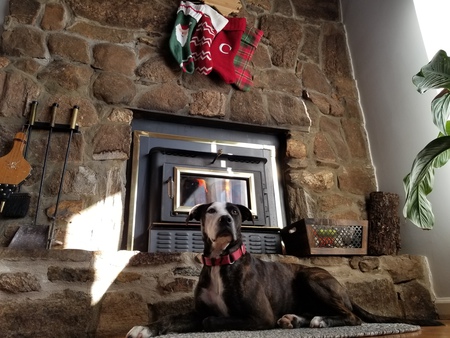 Entry image for Phantom. Clicking this image will show a larger photo