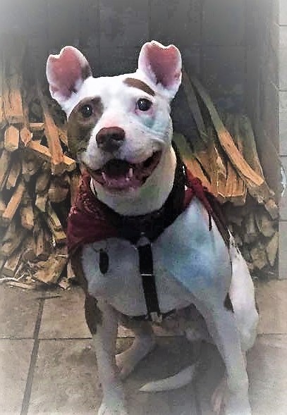 Entry image for Radar. Clicking this image will show a larger photo