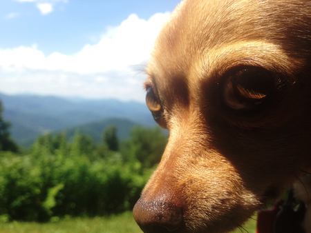 Entry image for Miz Sayrah . Clicking this image will show a larger photo