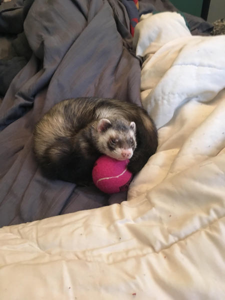 Entry image for Jinn. Clicking this image will show a larger photo