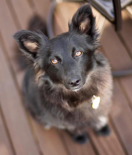 Entry image for Olivia. Clicking this image will show a larger photo