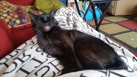 Entry image for Matilda . Clicking this image will show a larger photo