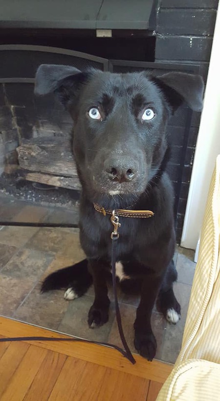 Entry image for Gusto. Clicking this image will show a larger photo