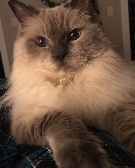 Entry image for Maxx. Clicking this image will show a larger photo