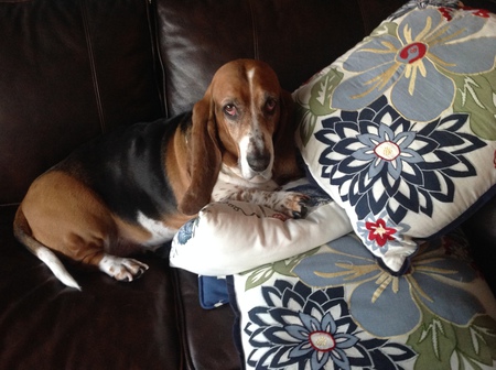 Betsy Boo Artino