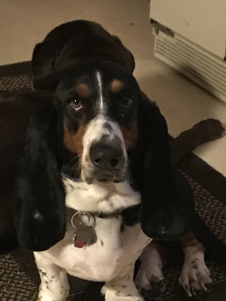 Maggie Too