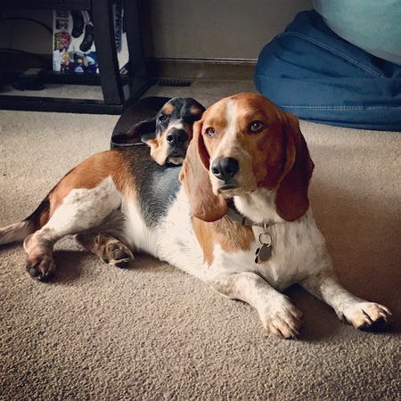 Piper & Doogie