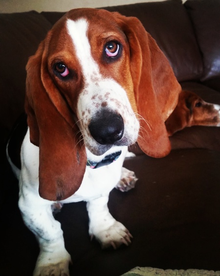 Maggie