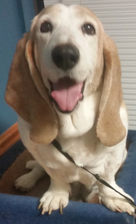 Ellie