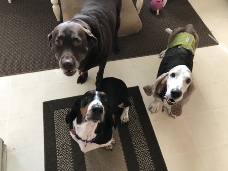Maggie, Merle Wherle & Maggie Too