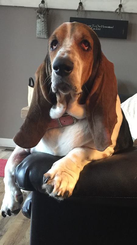 Bella Mae