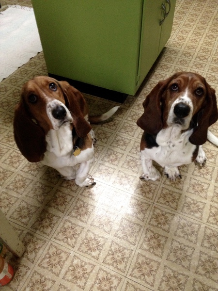 Summitt & Maya 