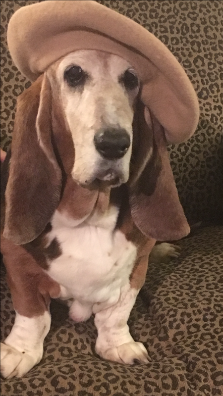 Daisy