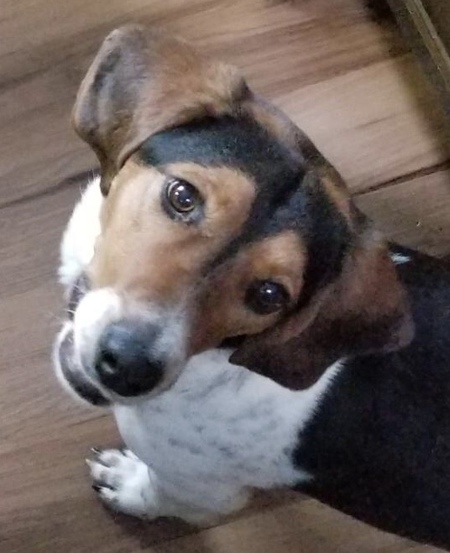 Sampson