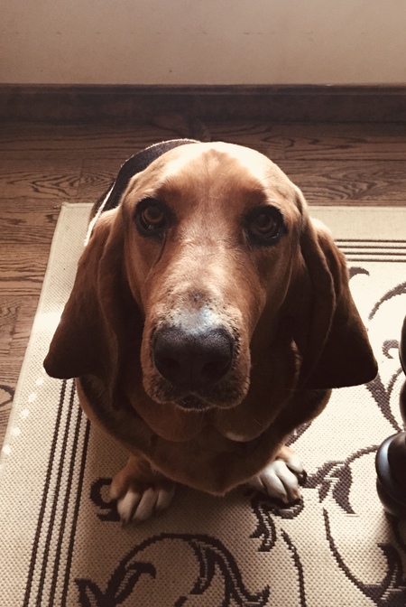 Copper