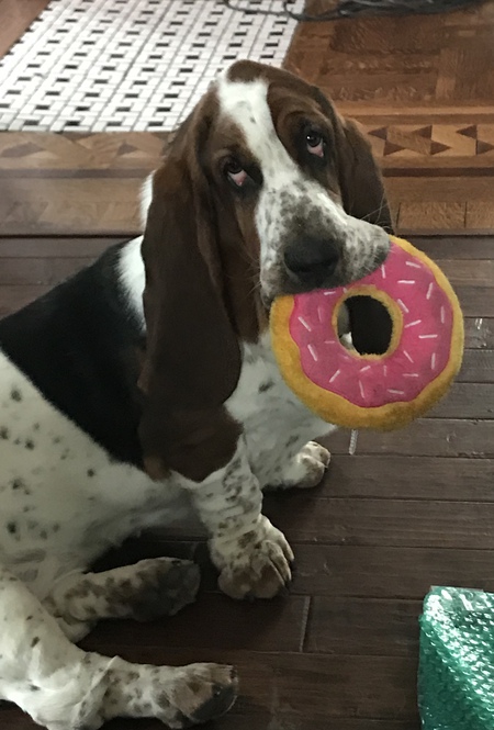 Eloise