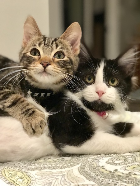 Gus & Zoey