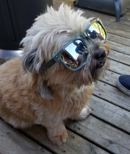 Rosco