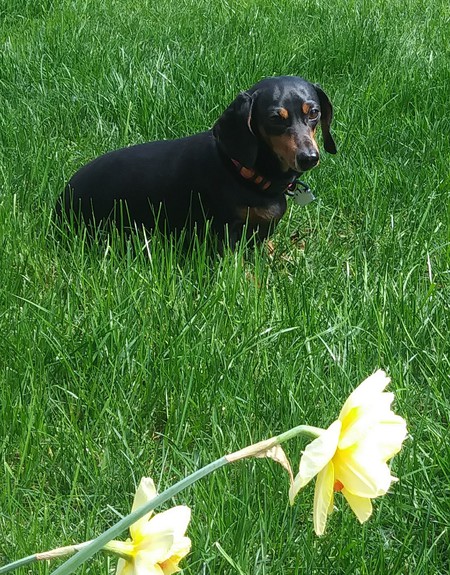 Lilly